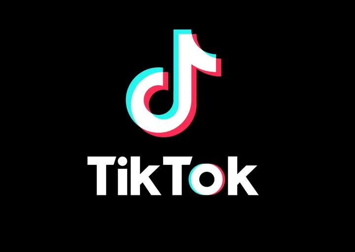 tiktok, sites para ganhar dinheiro online